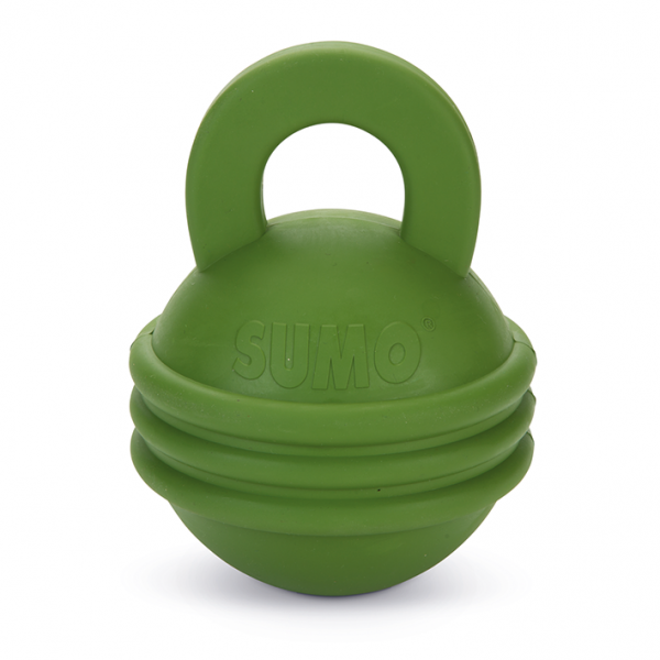 Sumo Play Kettlebell Green • Valemount Trading beeztees dogs toys