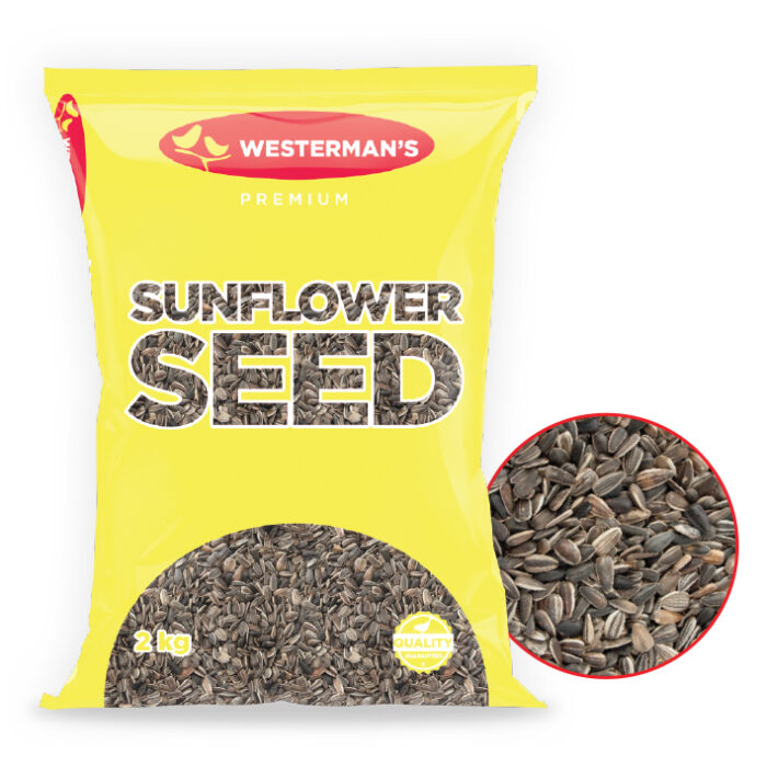 web_westermans_0010_striped-whole-sunflower-seed