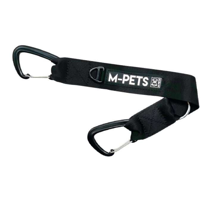 seatbelt leash