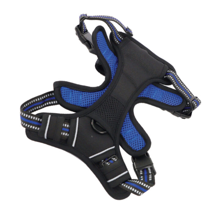 mpets-web_0147_hiking-harness-blue