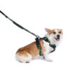 mpets-web_0148_hiking-camouflage-lifestyle