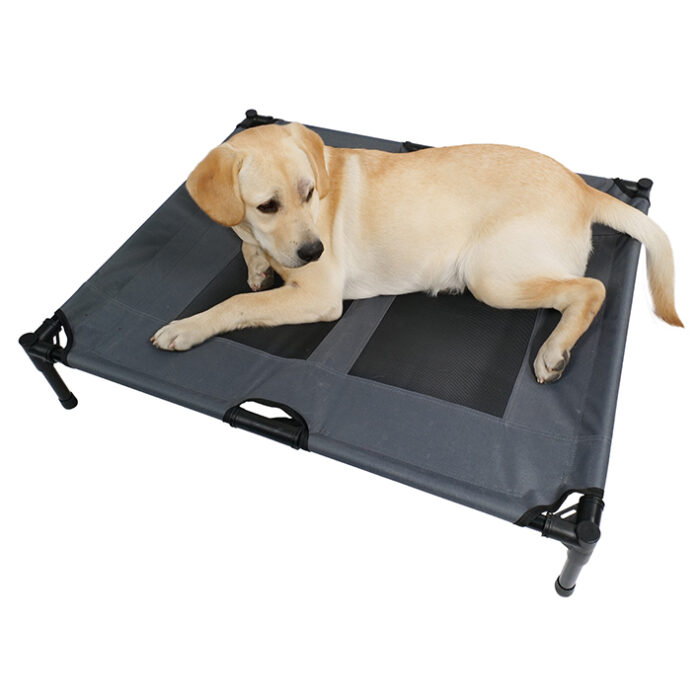 web_0066_M-PETS_10362099_ELEVATED Dog Bed with dog2
