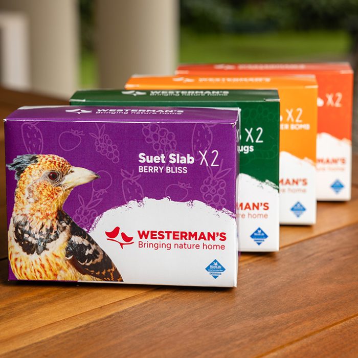 Westermans Suet Twin Pack