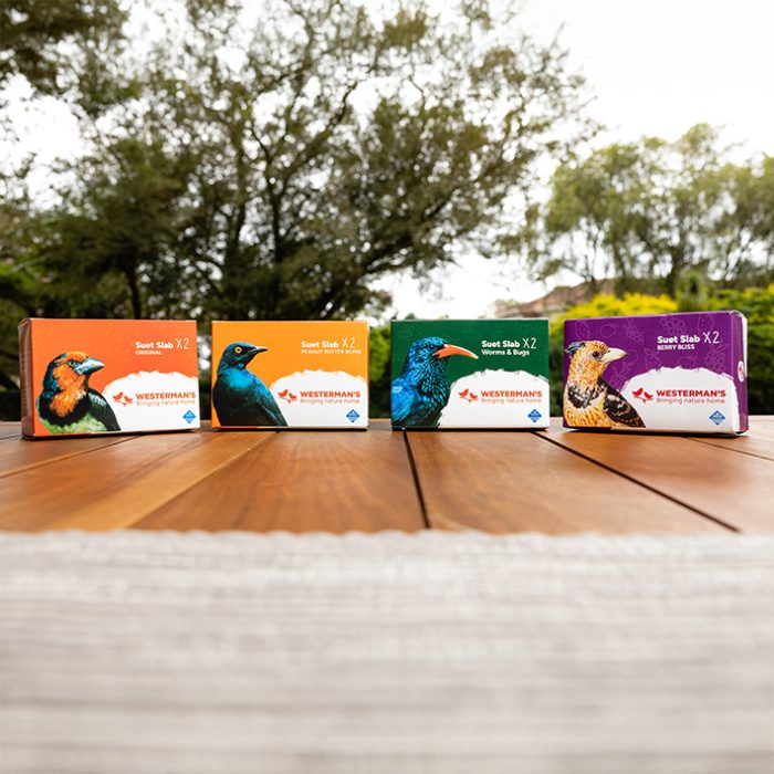 Westermans Suet Twin Pack