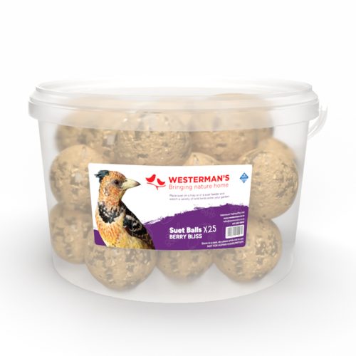 Westerman's 25 x Mini Berry Suet Snack Ball Tub