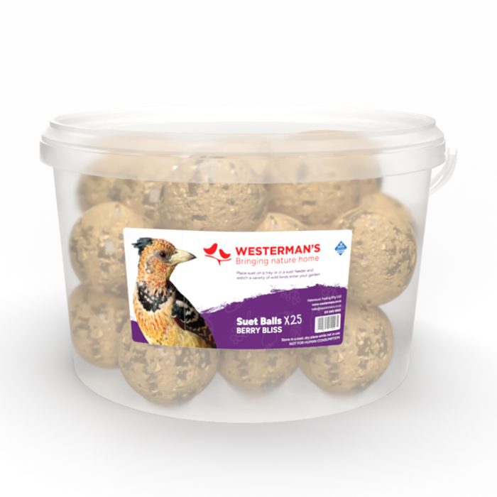 Westerman's 25 x Mini Berry Suet Snack Ball Tub
