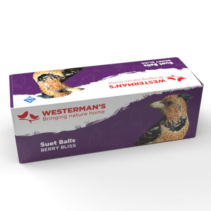 Westerman's 3-Pack Berry Suet Snack Balls