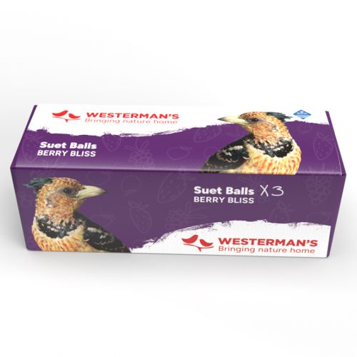 Westerman's 3-Pack Berry Suet Snack Balls
