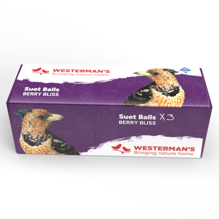 Westerman's 3-Pack Berry Suet Snack Balls