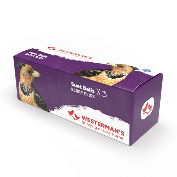 Westerman's 3-Pack Berry Suet Snack Balls
