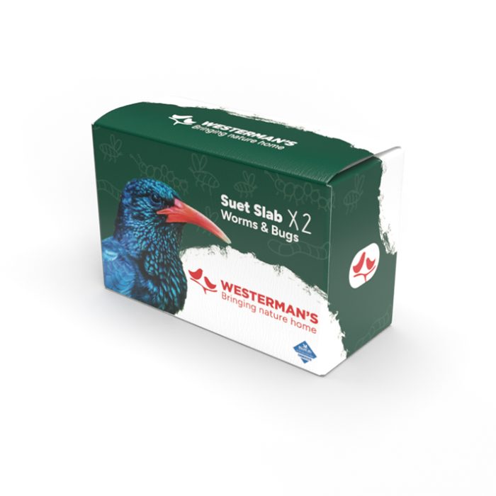Worms & Bugs Suet Snack Twin Pack