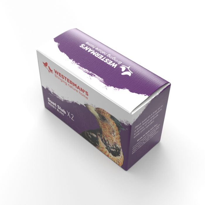 Berry Suet Snack Twin Pack