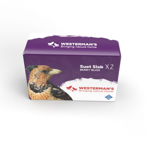 Berry Suet Snack Twin Pack