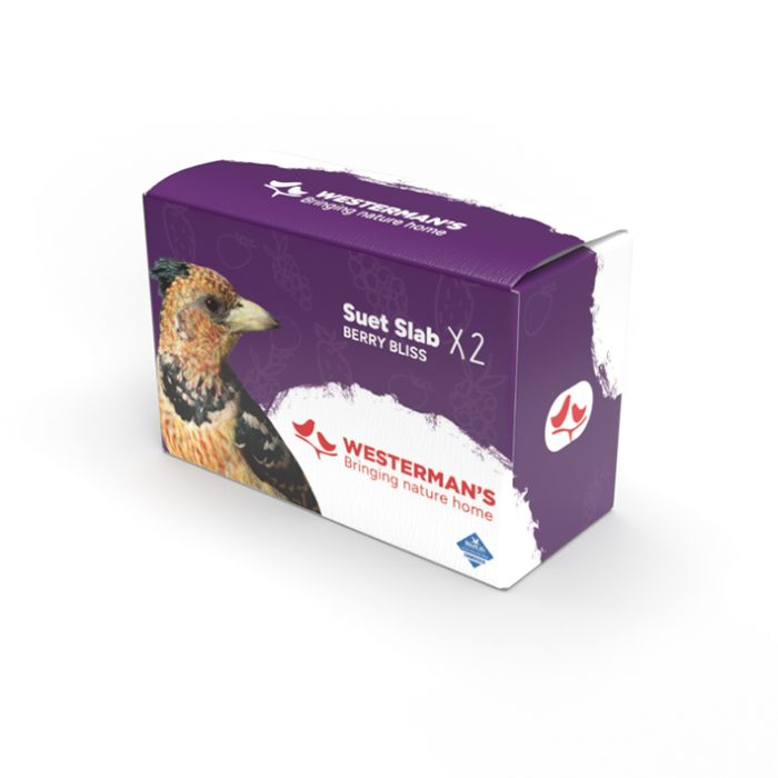 Berry Suet Snack Twin Pack